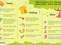 You can also use shampoo in this way since it is how? How To Remove Tree Sap Stains From Clothes Shoes And Carpet