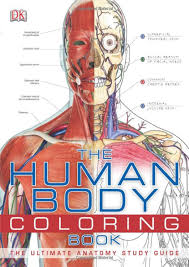 He is an attending emergency medicine phys. The Human Body Coloring Book Pdf By Dklondon Issuu