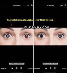 Cara Menghilangkan Mata Kucing di iPhone | PUKEVA