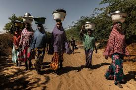 Africa, la diversa successione delle formazioni vegetali: Ciad Donne In Marcia Rivista Africa