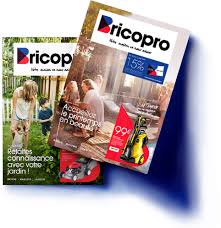 Orpi vous propose un large choix de biens immobiliers en vente, à hasparren : Nos Offres Du Moment Bricopro