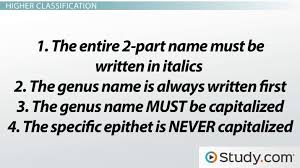 binomial nomenclature definition classification system