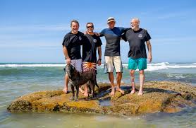 | meaning, pronunciation, translations and examples. Bite Club Shark Attack Survivors Find Solace In Unity