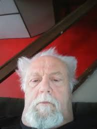 Can someone edit a photo of a seagull incident?