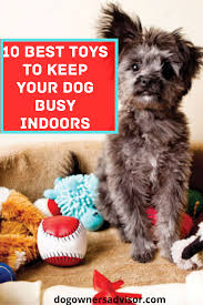 10 Best Toys To Keep Your Dog Busy Indoors Really Cute Puppies Cool Toys Dogs