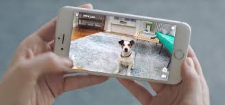 Watch live video, get notified by sound and motion alerts purchase pet monitor app for iphone and ipad on your iphone, and install it for free to your other devices. The 7 Best Pet Cameras Of 2021
