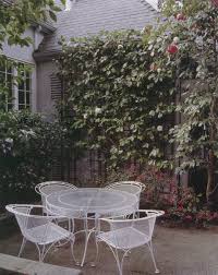 Camellia Sasanqua Espalier Front Flower Beds Garden Wall Horticulture
