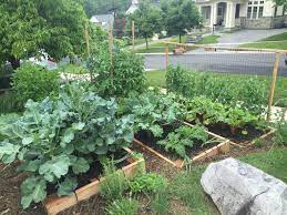 A few years after i started the front yard garden, i also converted the grass boulevard strip into a garden, visible in the upper part of this photo. Why You Should Plant A Front Yard Veggie Garden