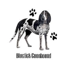 Each is considered a different breed in the american kennel club (akc) registry. Bluetick Coonhound T Shirt Profiles At Animal Den