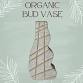 Organic Bud Vase Clay Hand Building Class