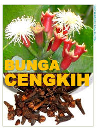 Nama sains jintan manis adalah pimpinella bunga lawang merupakan sejenis rempah yang banyak digunakan dalam masakan melayu. Julai 2010 Rempah Ratus Wannura
