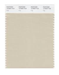 Robot Check Color Swatch Pantone Color Trends