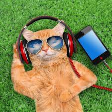 Find the best 1440x2560 phone wallpaper on getwallpapers. Hd Wallpaper Red Corded Headphones Grass Cat Glasses Telephone Smart Phone Wallpaper Flare