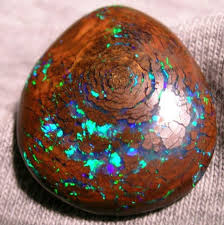 Image Result For Opalized Petrified Wood Fossilized Wood Stones And Crystals Giant Crystal