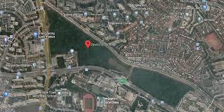 On thursday (28 january), lee visited the forest with members of the local nature community. Dover Forest Conservation Mp Suggest Alternative Sites For Housing Property Market Propertyguru Com Sg