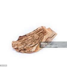 Image result for Harrisonia