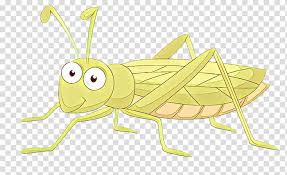 An eps file and a large jpg are included in this download. Grasshopper Insect Locust Pest Membrane Cricketlike Insect Cartoon Oecanthidae Bug Transparent Background Png Clipart Hiclipart