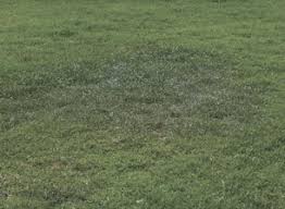 When it comes to watering your lawn many people will not have an in ground irrigation system to help with this process. When To Water Your Lawn Learn The Signs Of A Thirsty Lawn Quality Irrigation