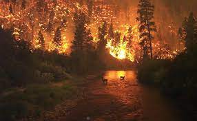 Por lo general, los incendios forestales se inician sin que nadie los note. Incendio Forestal Wikipedia La Enciclopedia Libre