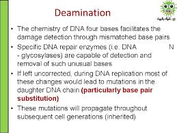 Learn vocabulary, terms, and more with flashcards, games, and other study. Which Type Of Substitution Mutation Is The Most Damaging