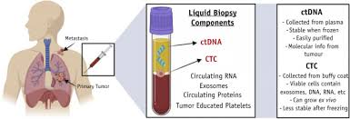 The band is dark if that base is present and pink if that base is absent. The Utility Of Liquid Biopsies In Radiation Oncology International Journal Of Radiation Oncology Biology Physics