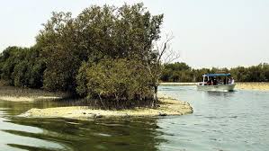 View deals for anantara eastern mangroves abu dhabi hotel, including fully refundable rates with free cancellation. Kayaking In The Sunset In Abu Dhabi S Eastern Mangroves Friday Magazine