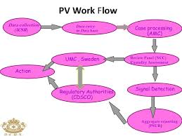 pharmacovigilance process flow chart ppt bedowntowndaytona com