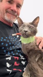 Bianca Update. She went to the eye doctor for a check up and she’s doing  amazing! #davidloop65 #cat #catlife #catlover #kitten