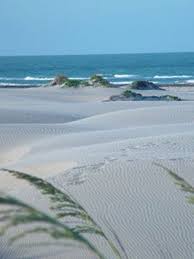 The 10 Best U S Beaches South Padre Island Beach Padre Island Texas South Padre Island Texas