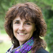 Neumònia: Relat d'una lluita a mort