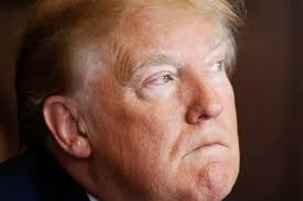 Expose the Epstein Pedo-files!