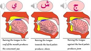 Makharij Al Huruf Part 3 Learn Quran Tajweed And Arabic