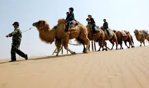 California residents can opt out of sales of personal data. Gran Trampled By Camels While On Holiday In Spain Left With Horrific Injuries Mirror Online