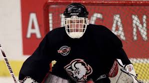 Že se do důvodové zprávy dostala chyba, je ostuda, ale mnohem. Dominik Hasek Enjoying Retirement In Return To Buffalo