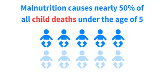 Image result for malnutrition