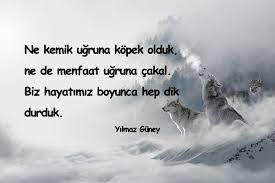 sayfa icerigi cakallik ile ilgili sozler cakallik yapanlara sozler cakallara sozler cakallikla ilgili ilham verici sozler motive edici alintilar guzel soz
