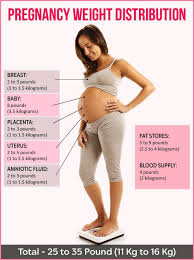 Pin On Pregnancy