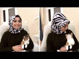 evde kedi beslemek gunah mi kedi bakimi neler yememeli nasil egitim verilir herseyaskla youtube