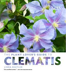 We did not find results for: Plant Lover S Guide To Clematis Plant Lover S Guides Beutler Linda Amazon De Bucher