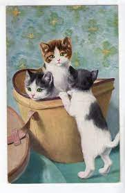 K164 Postcard Animal Three Kitty Cats In A Hat Box Cats And Kittens Cats Vintage Cat