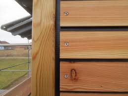Easy Rhombus Blackline Habm Geschutztes Holzfassadenprofil Aus Larche Rhombus Fassade Holzverkleidung Fassade Hausverkleidung