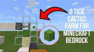 It makes about 25k an hour i'm pretty sure. 0 Tick Cactus Farm For Minecraft Bedrock Very Fast Tutorial Youtube
