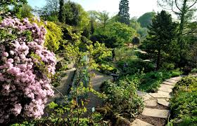 The jardin des plantes (french for garden of the plants), also known as the jardin des plantes de paris (french: Le Jardin Des Plantes Museum National D Histoire Naturelle Paris Tourist Office
