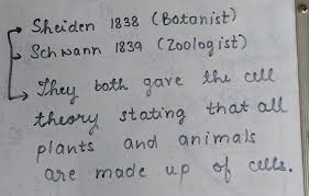 Check spelling or type a new query. Explain The Cell Theory Proposed By Sheldonand Schwani Brainly In