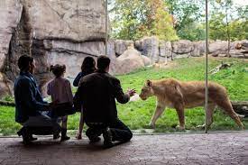 The oregon zoo has a new program called zoo for all that just started september 1, 2017, for low income families to make it easier to take your family you can also get an additional discount of $1.50 off admission, making the tickets just $3.50 if you ride the max to the zoo & show proof of the fare. Oregon Zoo Salem For All