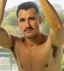 El actor cubano Carlo Arrechea conocido por interpretar a Gio Torres en  S.W.A.T., se declaró bisexual en una entrevista con la revista Out. Realizó  la declaración en el marco del Día Internacional