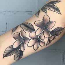 Plumeria Flowers By Hannah Pyramid Arts Tattoo Rochester Ny Frangipani Tattoo Plumeria Tattoo Tattoos