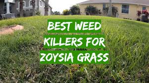 This spring i have noticed spots of zoysia grass in the yard. Top 5 Best Weed Killers For Zoysia Grass 2021 Review Grass Killer