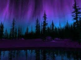 Homeschool Geography Curriculum Lets Go Geography Northern Lights Wallpaper Northern Lights Painting Night Forest