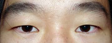 I thought that it was a positive sign and thanked it. 6 Rare And Unique Eye Colors Owlcation